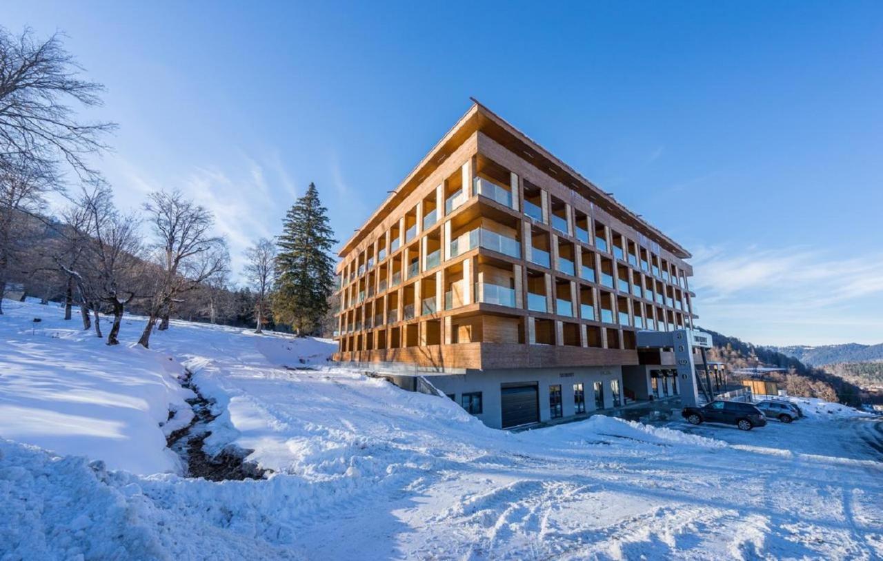 The Valley Bakuriani Belle Epoque Apartment Екстер'єр фото